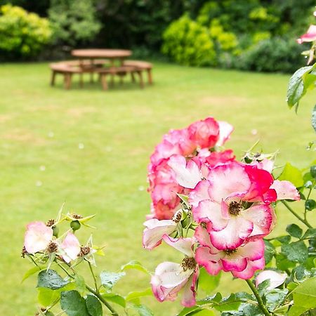 Beechwood Close York Dış mekan fotoğraf