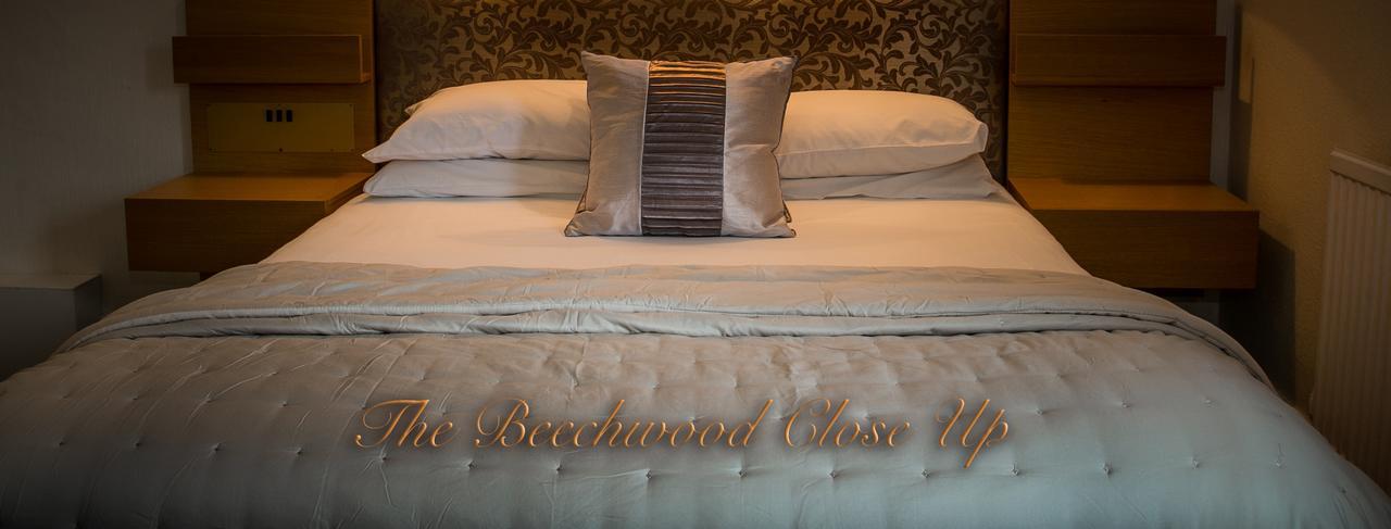 Beechwood Close York Dış mekan fotoğraf