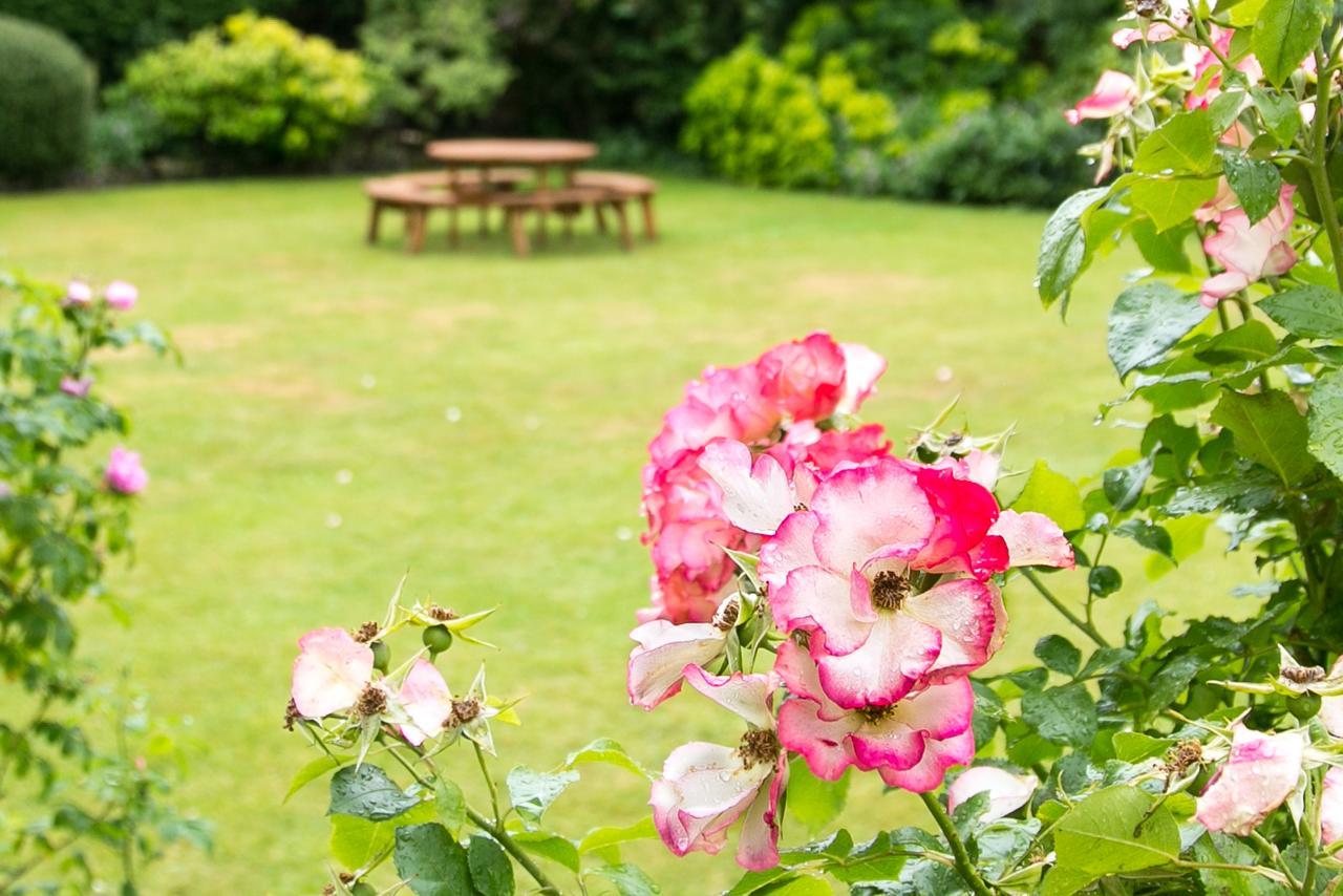 Beechwood Close York Dış mekan fotoğraf
