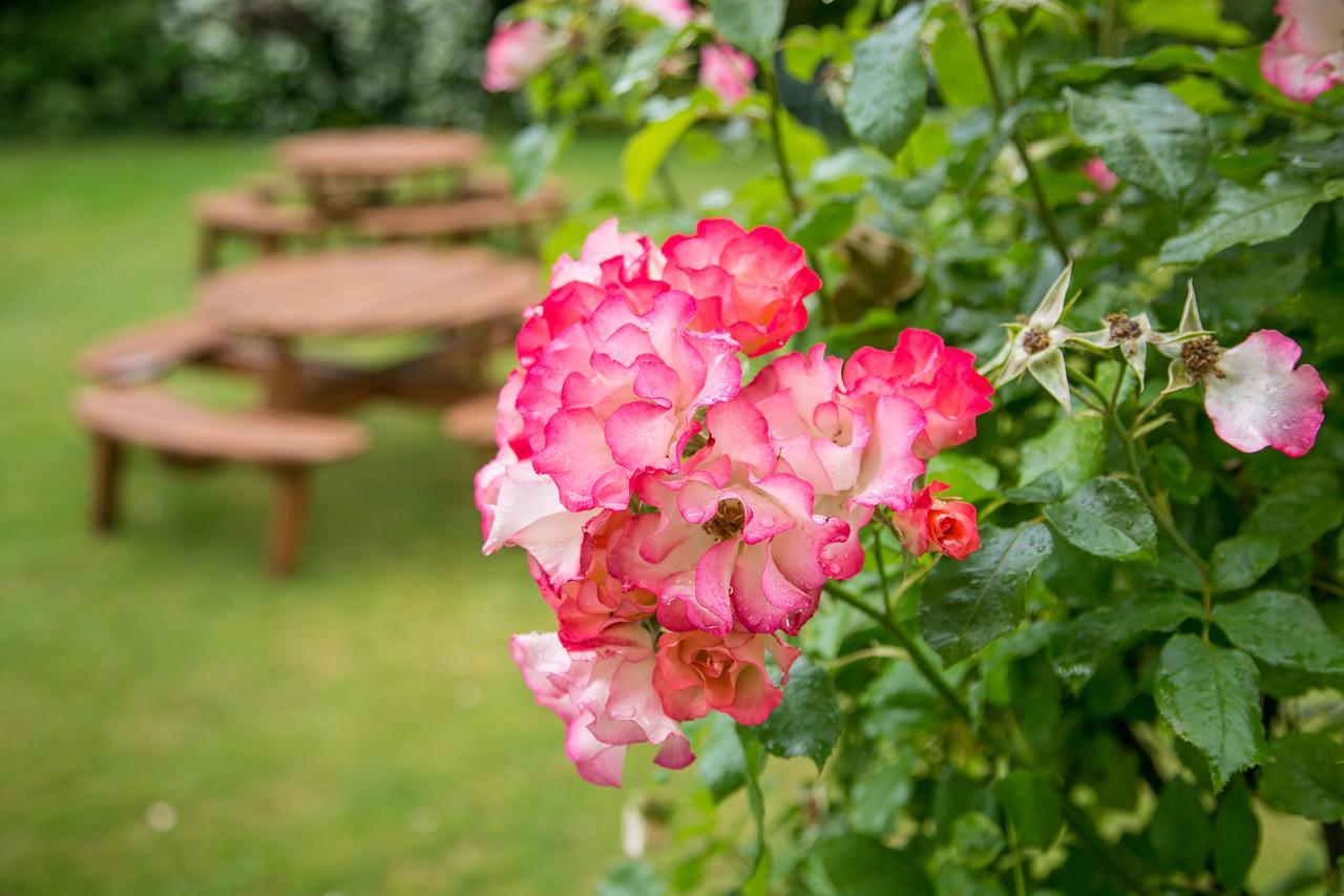 Beechwood Close York Dış mekan fotoğraf